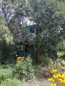 Дом в Курская область, Курский район, Щетинский сельсовет, Лазурное ...