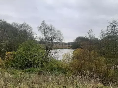 Участок в Ленинградская область, Киришский район, Пчевское с/пос, д. ...