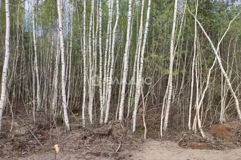 Участок в Владимирская область, Собинка ул. Братьев Лосевых (10.0 ...