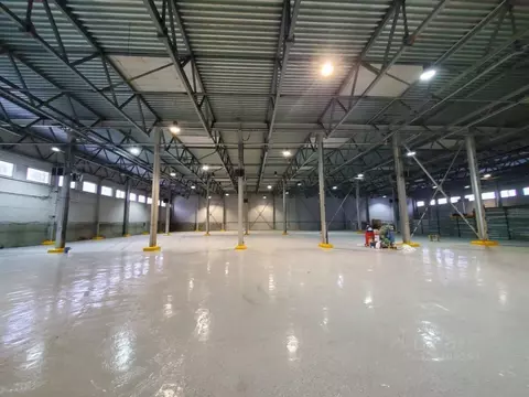 Склад в Санкт-Петербург ул. 3-я Конная Лахта, 48к2 (3250 м)