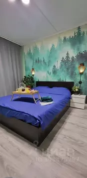 1-к кв. Ленинградская область, Выборг ул. Кривоносова, 11 (31.0 м)