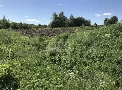 Участок в Ленинградская область, Волховский район, Усадищенское с/пос, ...