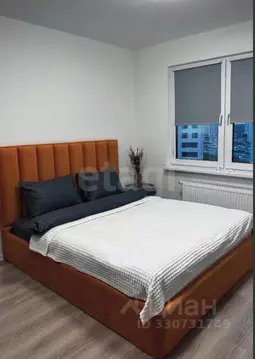 Студия Санкт-Петербург ул. Пахомовская, 16к1 (22.0 м)
