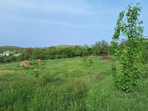 Участок в Крым, Феодосия муниципальный округ, с. Виноградное ул. ...