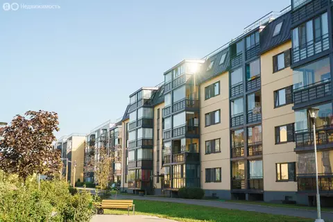 Квартира-студия: Колпино, Понтонная улица, 7к1 (28 м)