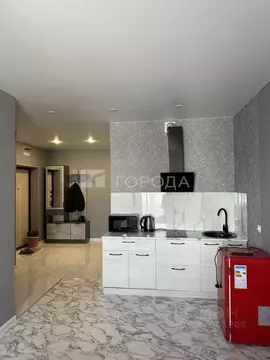 Студия Алтайский край, Барнаул Промышленная ул., 6 (28.0 м)