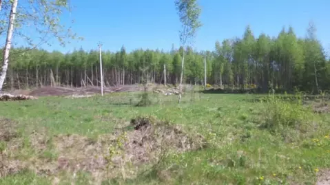 Участок в Ярославская область, Ярославский муниципальный округ, д. ...