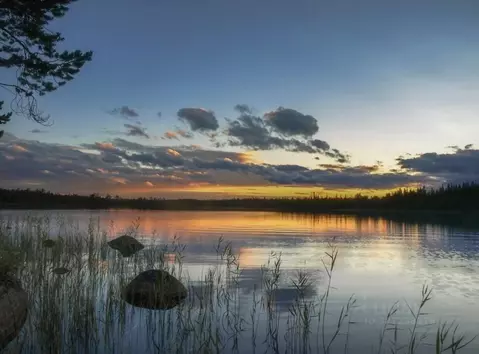 Участок в Московская область, Истра муниципальный округ, д. Ремянники  ...
