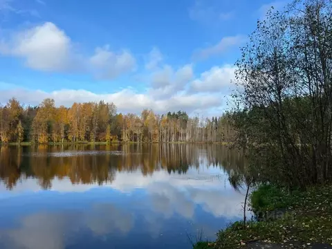 Участок в Ленинградская область, Приозерский район, Громовское с/пос, ...
