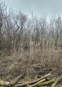 Участок в Воронежская область, с. Семилуки ул. Грушевая, 9 (9.3 сот.)