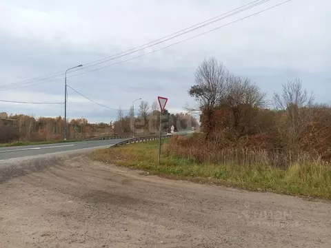 Участок в Псковская область, Островский район, Бережанская волость, д. ...