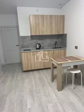 Студия Санкт-Петербург пос. Стрельна, просп. Буденного, 20к1 (25.0 м)