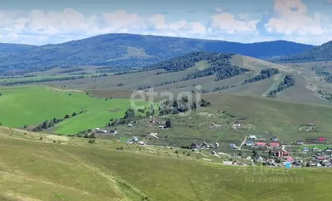 Участок в Алтай, Майминский район, пос. Алферово  (10.0 сот.)