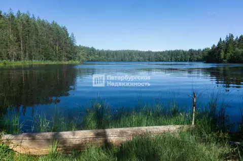Участок в Ленинградская область, Лужский район, Осьминское с/пос, д. ...