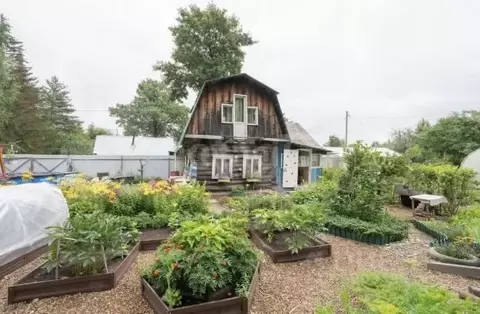 Дом в Пермский край, Пермь №1 СНТ, 73 (44 м)