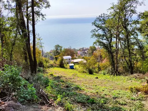 Участок в Краснодарский край, Сочи Ландыш садовое товарищество,  (7.1 ...