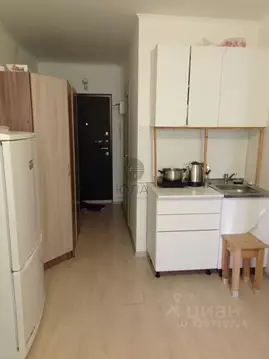 Студия Ленинградская область, Мурино Всеволожский район, ул. Шоссе в ...