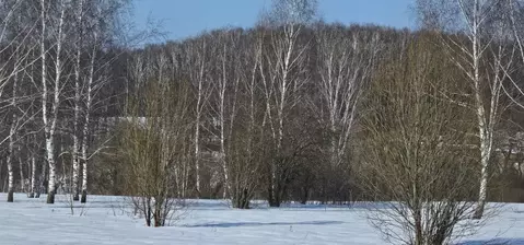 Участок в Московская область, Луховицы  (11.5 сот.)