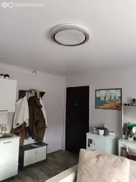 Квартира-студия: Улан-Удэ, улица Мокрова, 30/3 (19.5 м)