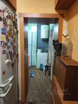 2-к кв. Челябинская область, Челябинск ул. Елькина, 63б (35.0 м)