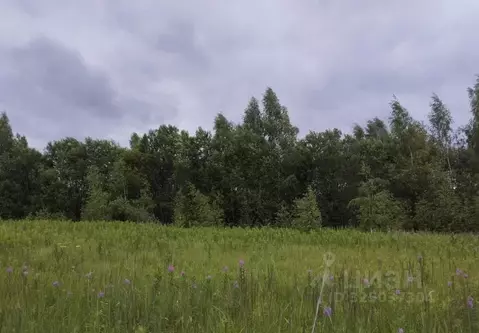 Участок в Московская область, Дмитровский муниципальный округ, д. ...