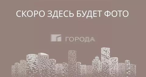 1-к кв. Новосибирская область, Новосибирск Затон мкр, ул. 2-я ...
