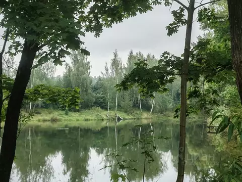 Участок в Московская область, Ступино городской округ, д. Кишкино ул. ...