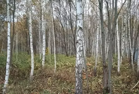 Участок в Московская область, Одинцовский городской округ, с. ...