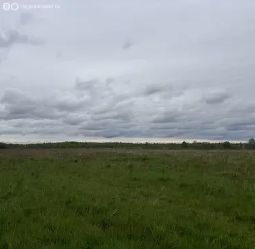 Участок в Калининградская область, Краснознаменский муниципальный ...