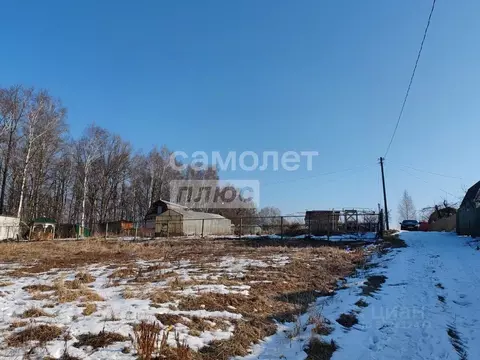 Участок в Калужская область, Ферзиковский муниципальный округ, Красный ...