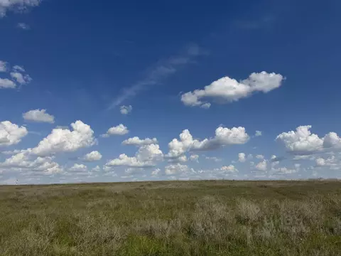 Участок в Волгоградская область, Среднеахтубинский район, ...