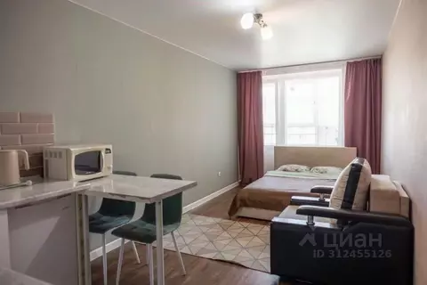 1-к кв. Томская область, Томск Большая Подгорная ул., 87 (25.0 м)