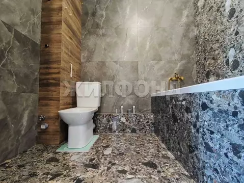 1-к кв. Новосибирская область, Новосибирск ул. Станиславского, 16/2 ...