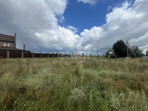 Участок в Воронежская область, Борисоглебский городской округ, с. ...