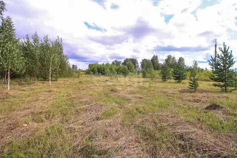 Участок в Алтайский край, Первомайский район, пос. Новый ул. ...