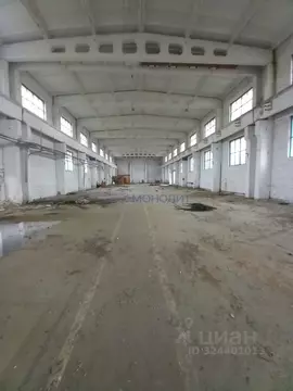 Производственное помещение в Нижегородская область, Нижний Новгород д. ...