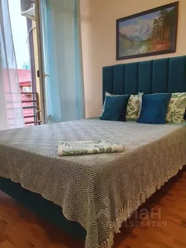 Студия Краснодарский край, Сочи ул. Просвещения, 157/2 (20.0 м)