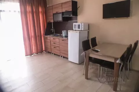 Студия Краснодарский край, Сочи ул. Ленина, 137 (38.0 м)