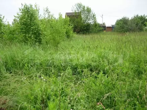 Участок в Татарстан, Верхнеуслонский район, Бурнашевское с/пос, с. ...