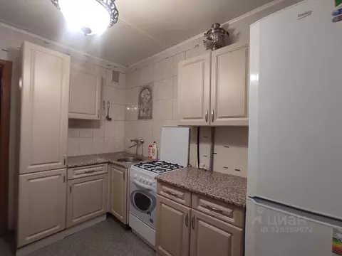 1-к кв. Санкт-Петербург ул. Вавиловых, 17К1 (35.0 м)