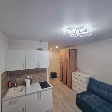 Студия Тюменская область, Тюмень ул. Беляева, 23/1 (17.5 м)