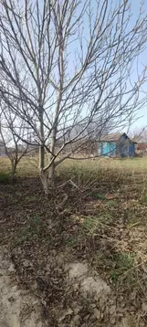 Участок в Курская область, Курский район, Щетинский сельсовет, Химфарм ...