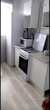 1-к кв. Пермский край, Пермь ул. Архитектора Свиязева, 38 (42.0 м)