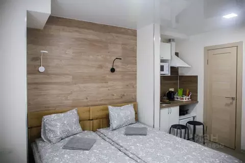 Студия Самарская область, Самара ул. Льва Толстого, 14 (20.0 м)