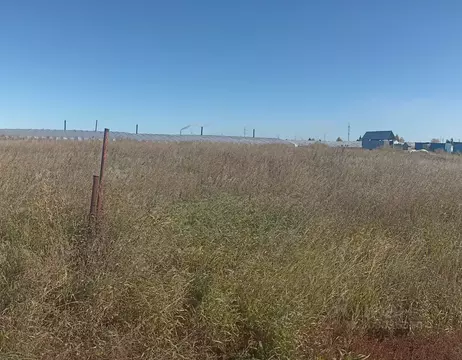 Участок в Омская область, Омский район, с. Дружино Октябрьская ул., 18 ...