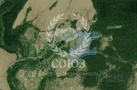 Участок в Калужская область, Медынский муниципальный округ, Михеево ...