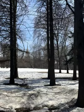 1-к кв. Москва ул. Дружбы, 2/19 (43.0 м)