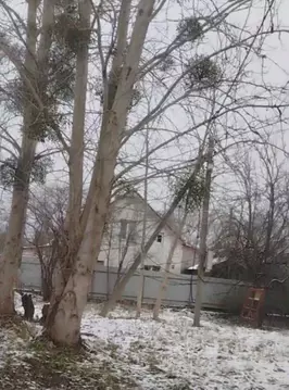 Участок в Калининградская область, Зеленоградский муниципальный округ, ...