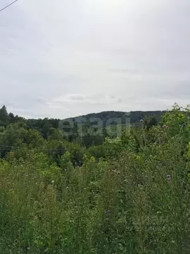 Участок в Алтайский край, Белокуриха ул. Угрюмова (65.0 сот.)