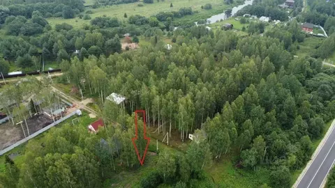 Участок в Московская область, Талдомский городской округ, д. Гусенки ...